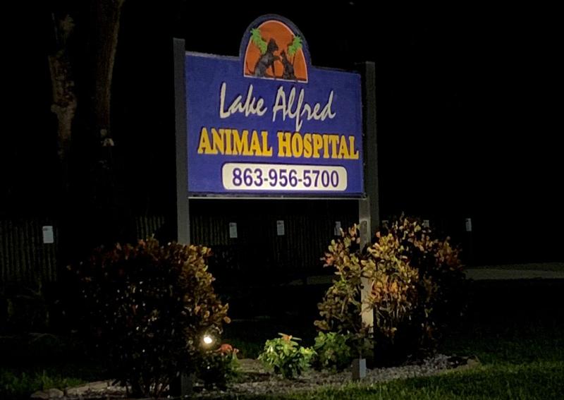 Carousel Slide 13: Lake Alfred Animal Hospital Exterior Sign